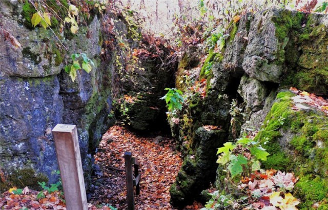 Stairway, Ledge County Park