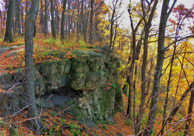 Cliff, Ledge County Park