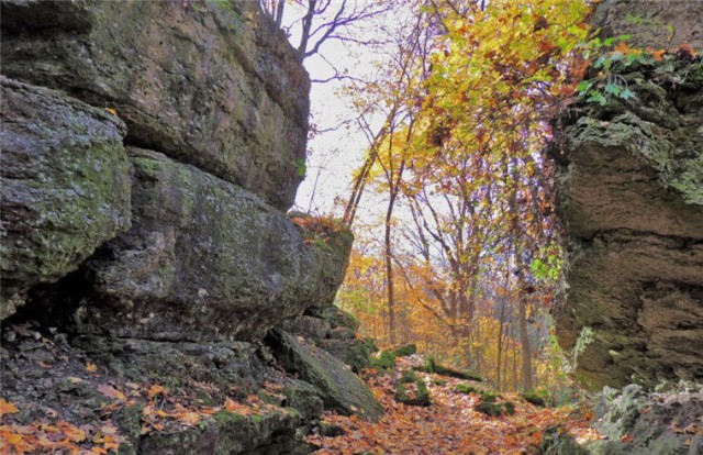 Hiking Trail, Ledge County Park