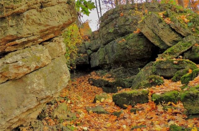 Path, Ledge County Park