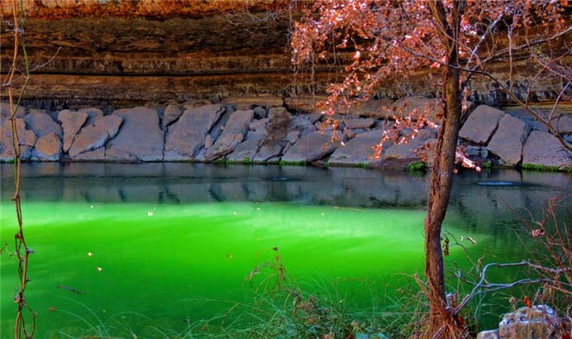 Emerald Pool, Hamilton Pool