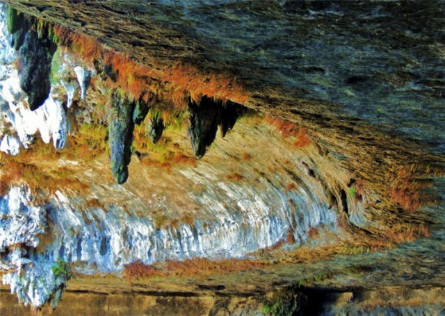 Grotto Ceiling, Hamilton Pool21