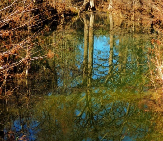 Hamilton Creek, Hamilton Pool