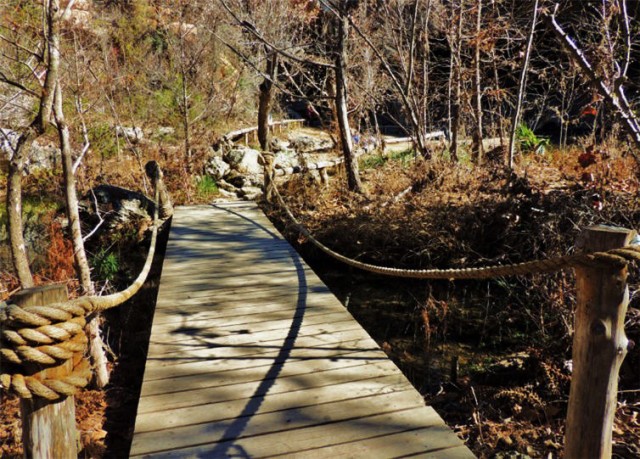 Trail Boardwalk, Hamilton Pool