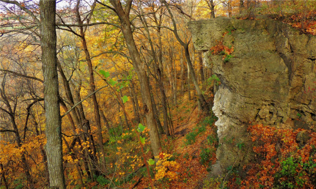 Ledge Cliff, Ledge County Park