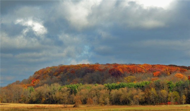 Niagara Escarpment, Ledge County Park