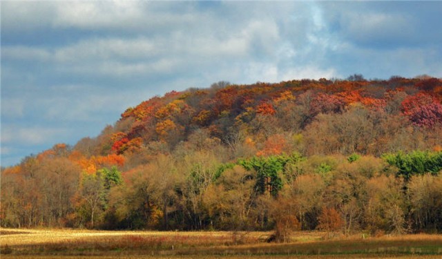 Limestone Escarpment, Ledge County Park