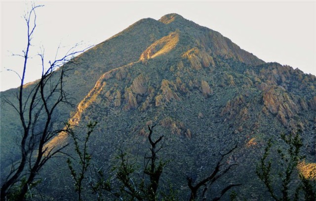 Mountain, Organ Mountains