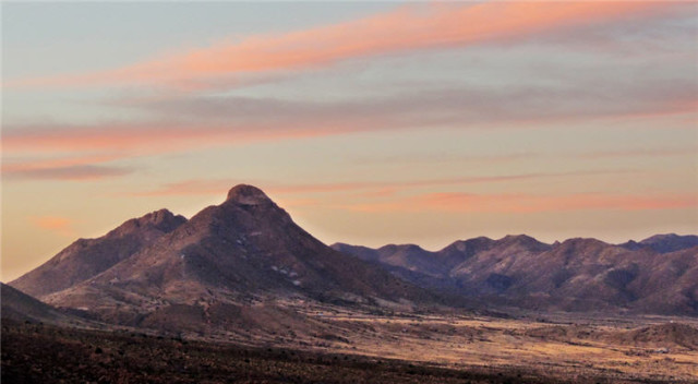 Desert, Organ Mountains