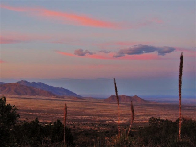 Twilight, Organ Mountains