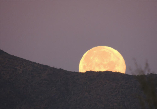 Moon, Tucson Mountain Park