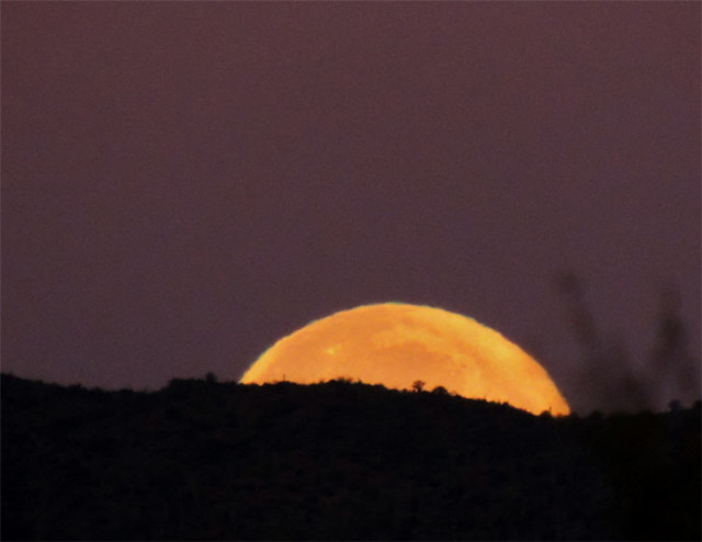 Setting Moon, Tucson Mountain Park