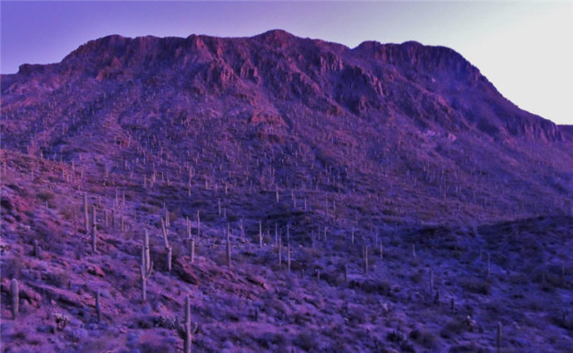 Dawn, Tucson Mountain Park