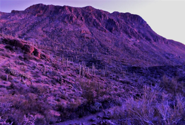 Gates Pass, Tucson Mountain Park