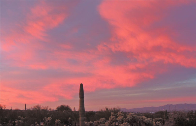 Morning Twilight, Tucson