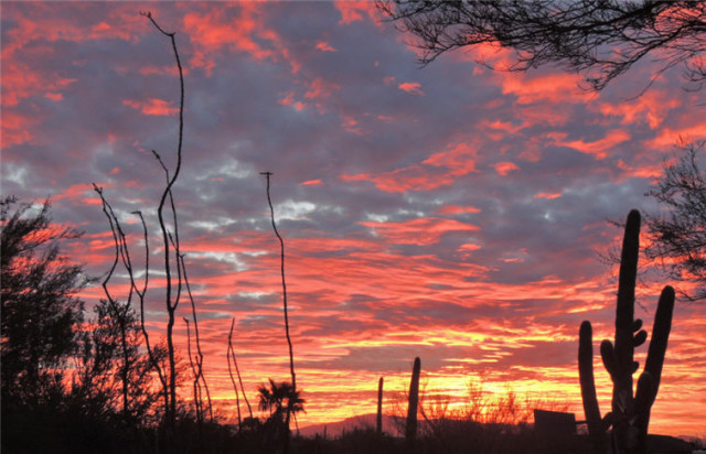 Twilight, Tucson