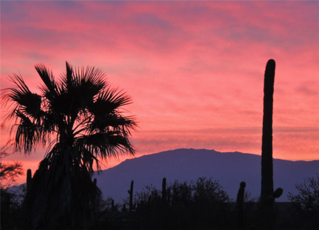 Rincon Mountains, Tucson