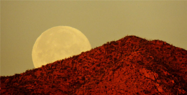 Setting Moon, Tucson