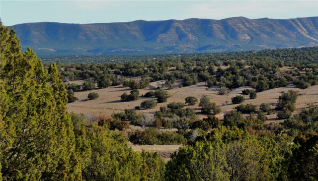 Mesa, Abo Pueblo4