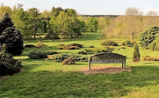 Bench, Arboretum