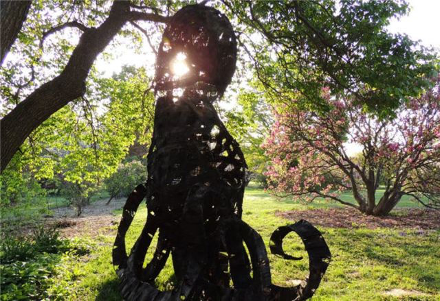 Sculpture, Arboretum