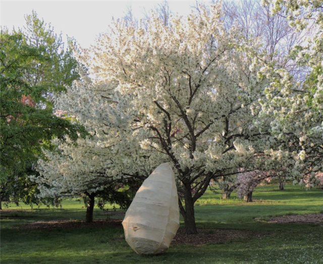 Sculpture and Blossoms, Arboretum