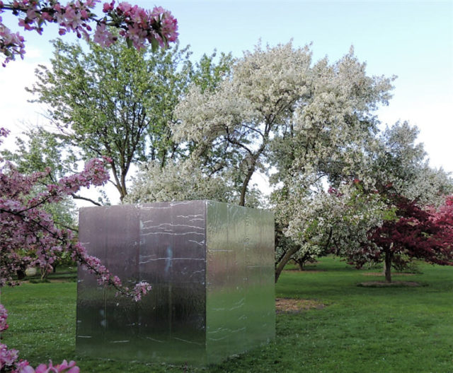 Limitless Sculpture, Arboretum