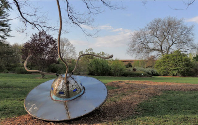 Alien Spaceship, Arboretum