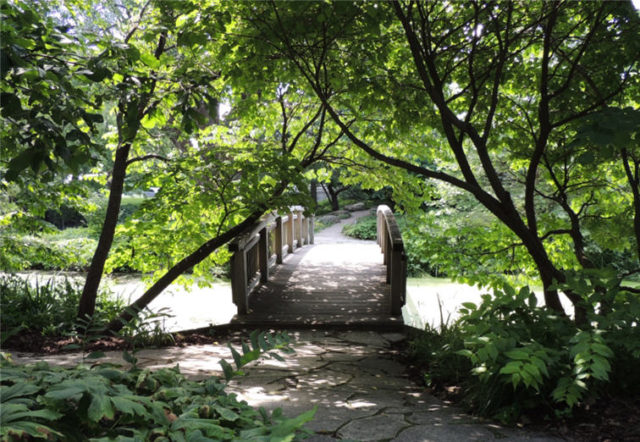 Path to Footbridge, Olbrich Gardens