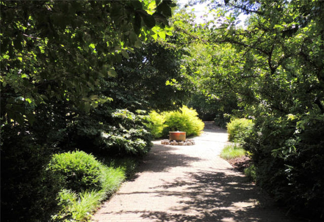 Path to Fountain, Olbrich Gardens