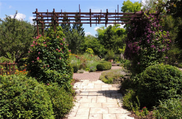 Trellis Path, Olbrich Gardens