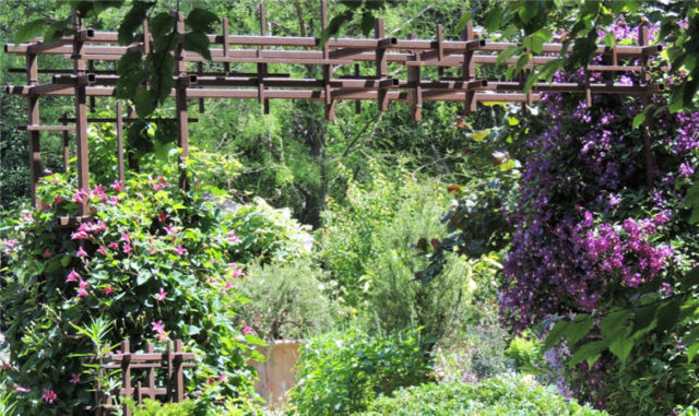 Trellis, Olbrich Gardens