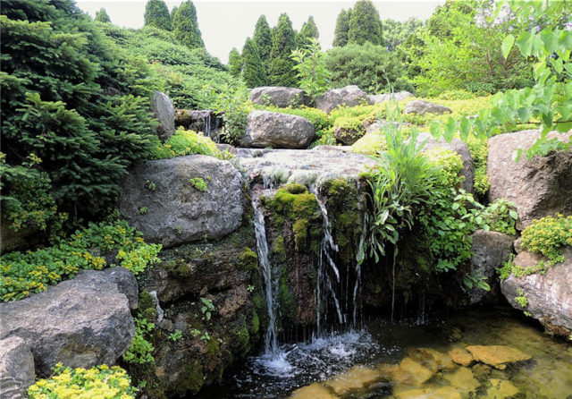 Waterfall, Olbrich Gardens