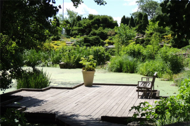 Deck at Pond, Olbrich Gardens