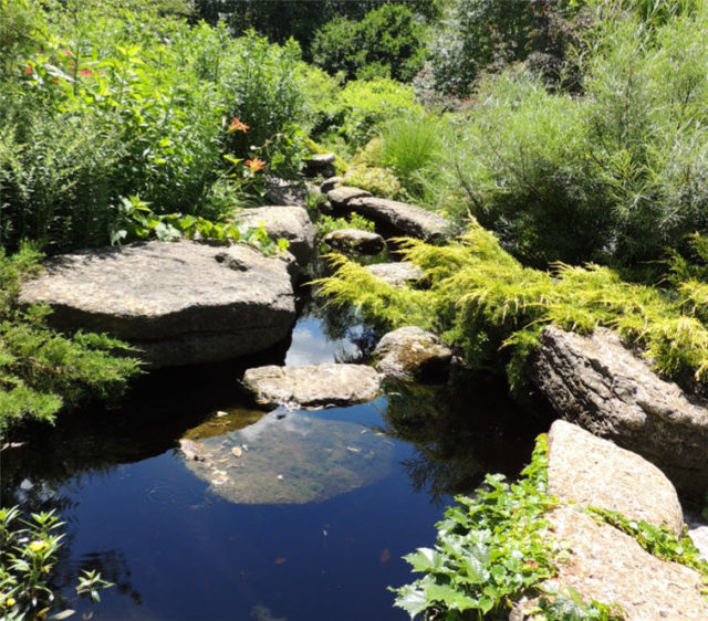 Water Feature, Olbrich Gardens