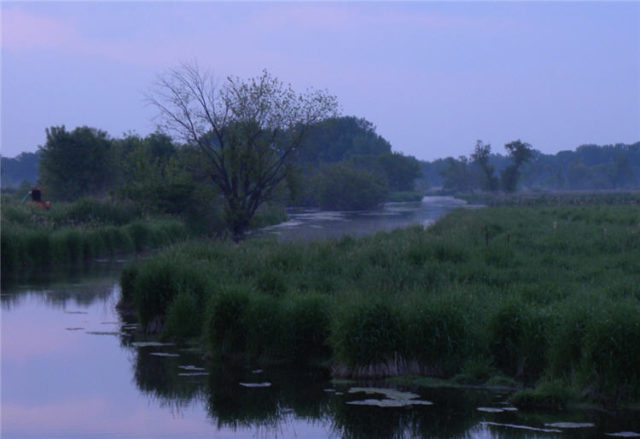 Wetland at Dawn, Dane County
