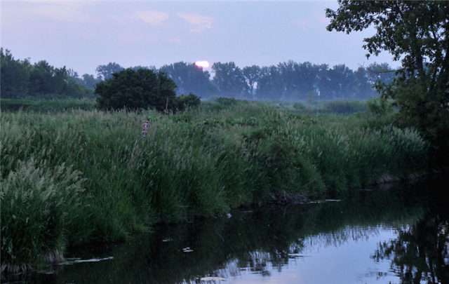 Dawn, Dane County