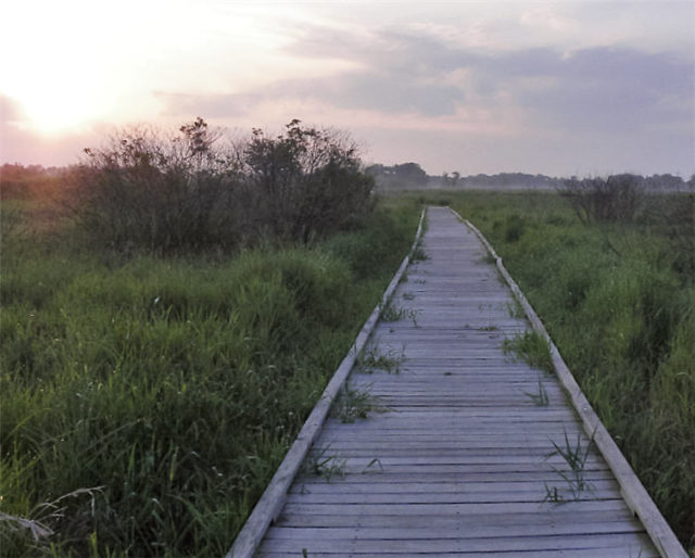 Boardwalk, Dane County