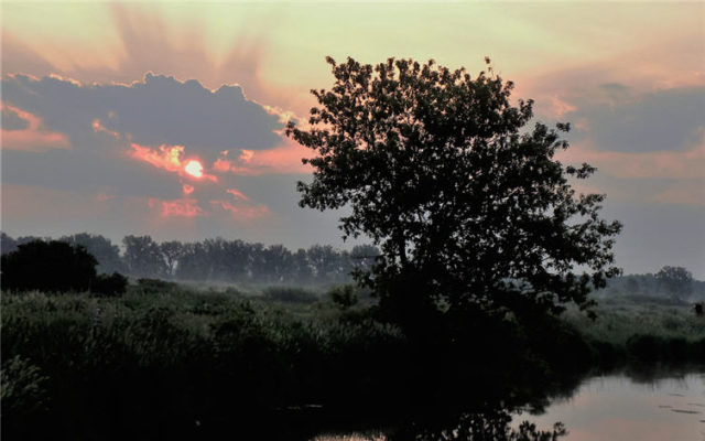 Wetland Sunrise, Dane County