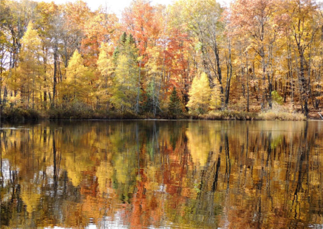 Reflections, henneman-lake