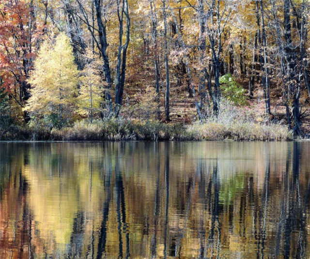 Tamarack Reflections, henneman-lake