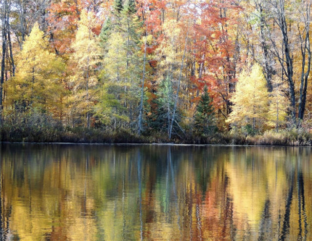 Tamarack Shore, henneman-lake