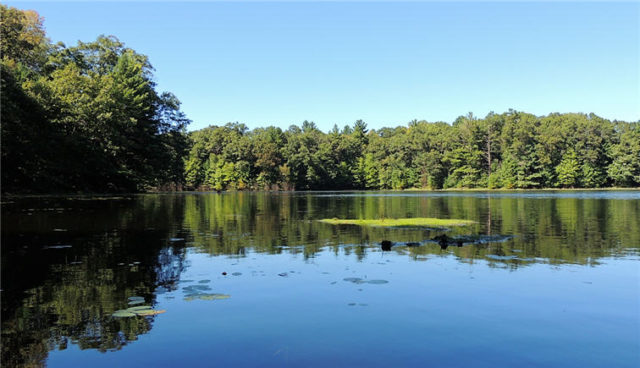 Bay, south-shattuck-lake