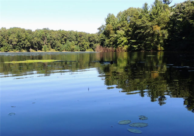 Bay, south-shattuck-lake
