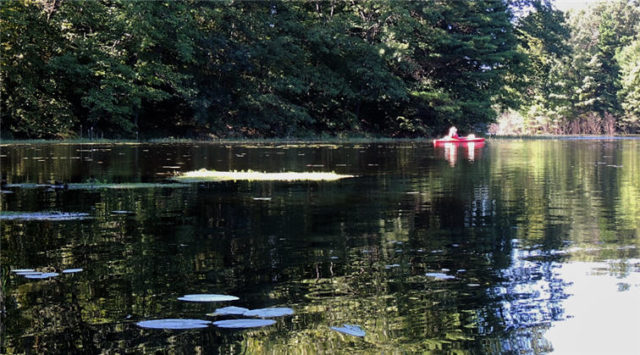 Kaykaking, south-shattuck-lake