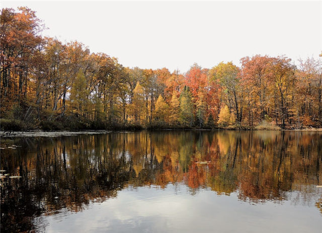 Lake Reflections, henneman-lake