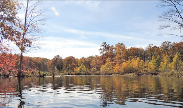 South End, henneman-lake