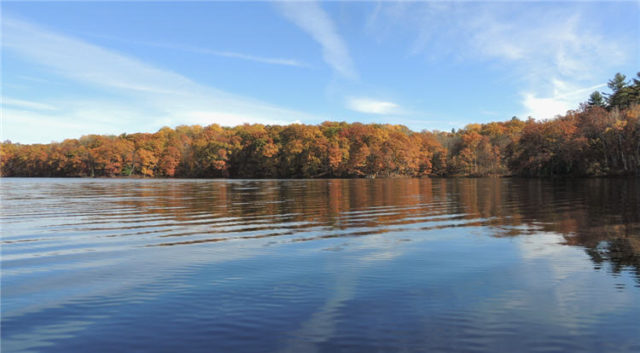 East Shore, henneman-lake