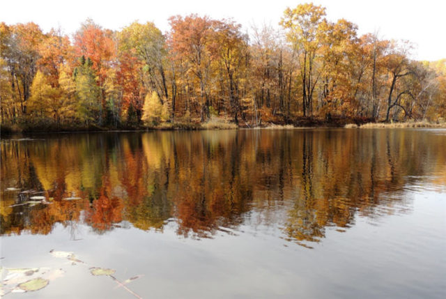 Reflections, henneman-lake