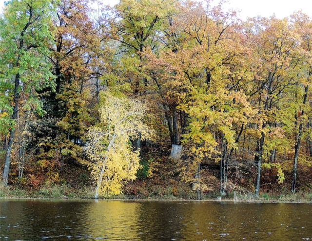 Aspen, henneman-lake